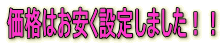 価格はお安く設定しました!!